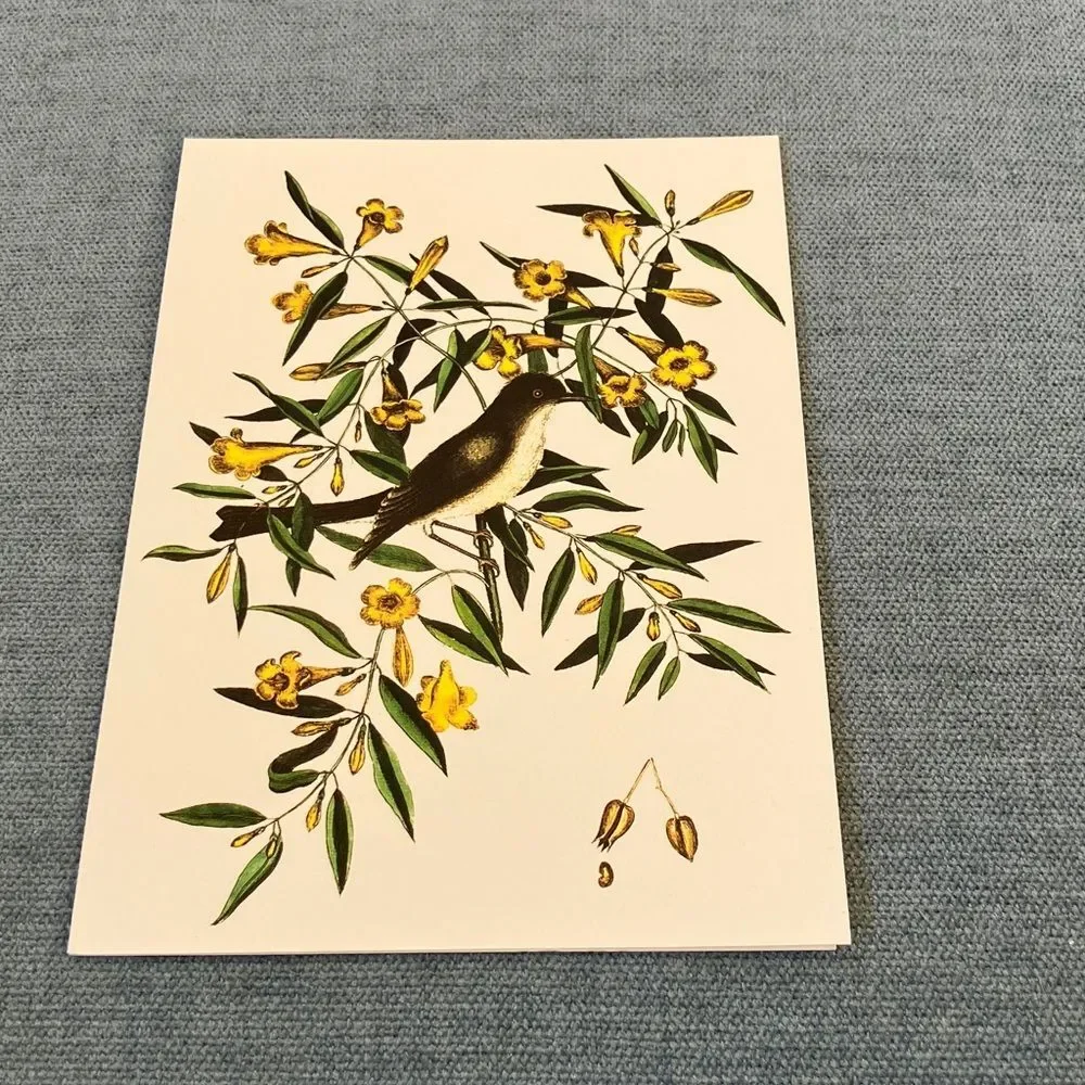 The Blackcap Flycatcher The Colonial Williamsburg Foundation Card